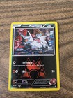 Team Magma's Poochyena