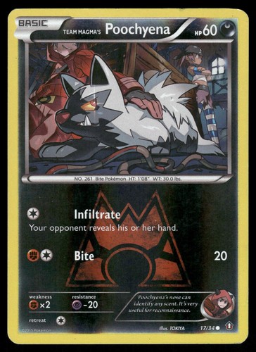Team Magma's Poochyena