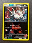 Team Magma's Poochyena