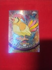 Pidgeotto