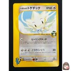 Falkner's Togetic