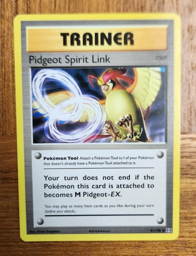Pidgeot Spirit Link
