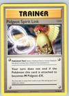 Pidgeot Spirit Link