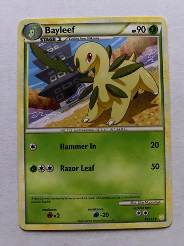 Bayleef