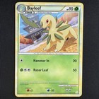 Bayleef