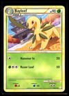 Bayleef