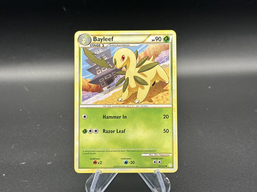 Bayleef
