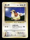 Pidgey