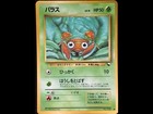 Paras