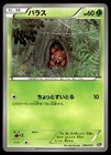 Paras