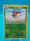 Ledyba
