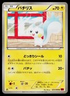 Pachirisu
