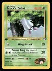 Brock's Zubat