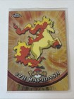 Rapidash