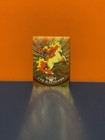 Rapidash