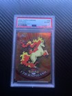 Rapidash