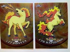 Rapidash
