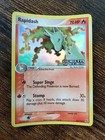 Rapidash