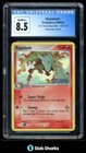 Rapidash
