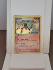 Rapidash