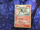Rapidash