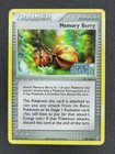 Memory Berry