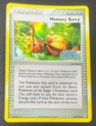 Memory Berry