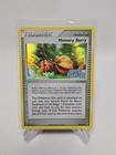 Memory Berry