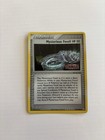 Mysterious Fossil