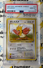 Spearow