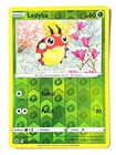 Ledyba