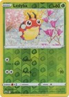 Ledyba