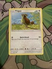 Pidgey