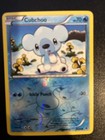 Cubchoo