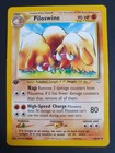 Piloswine