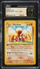 Piloswine
