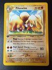 Piloswine