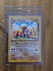 Piloswine