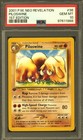 Piloswine