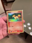 Ponyta