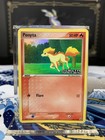 Ponyta