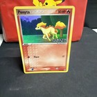 Ponyta
