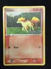 Ponyta