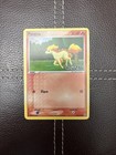 Ponyta
