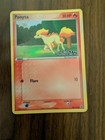 Ponyta