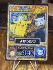 Pikachu & Others