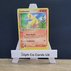 Combusken
