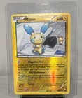 Minun