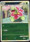 Meganium