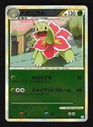 Meganium
